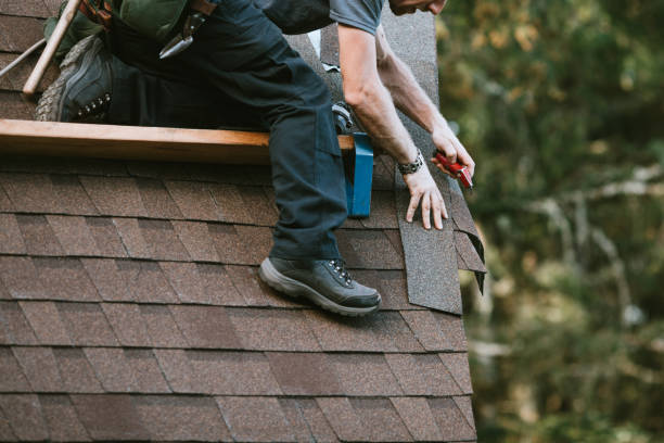 Professional Roofing Contractor in Sealy, TX
